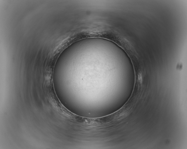 X0000111381300200907241300