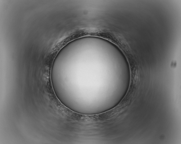 X0000111381301200907241300