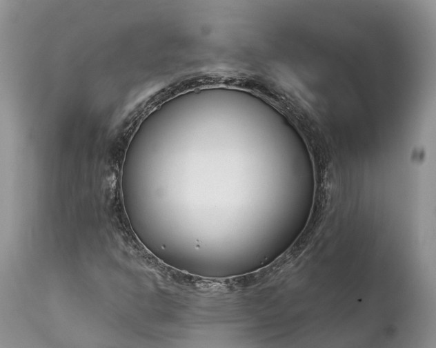 X0000111381302200907241300