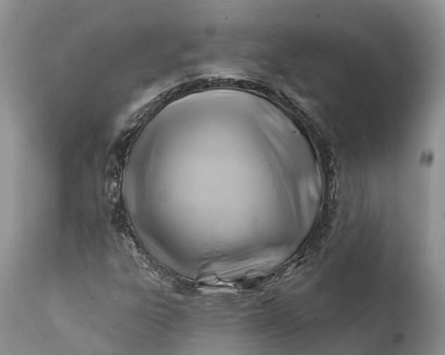 X0000111381303200907241300