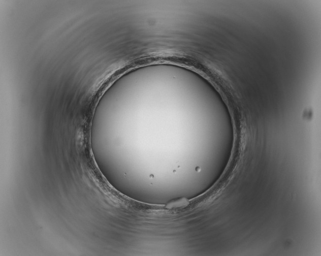 X0000111381305200907241300