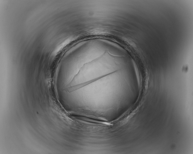 X0000111381306200907241300