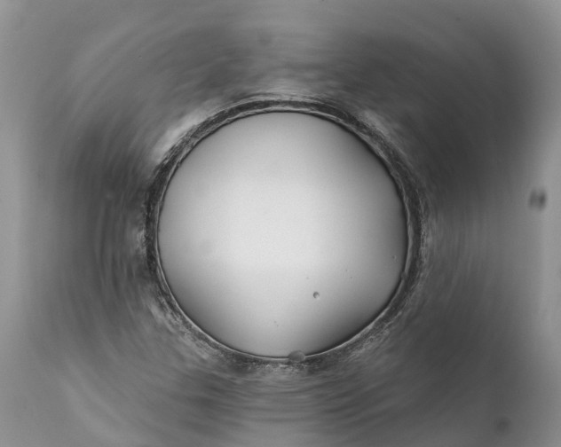 X0000111381307200907241300