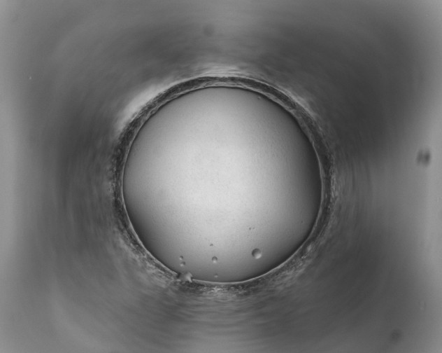 X0000111381311200907241300