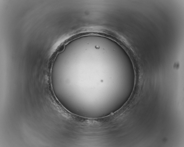 X0000111381312200907241300