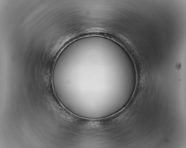 X0000111381313200907241300