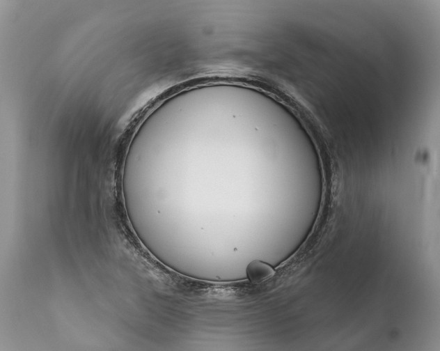 X0000111381315200907241300