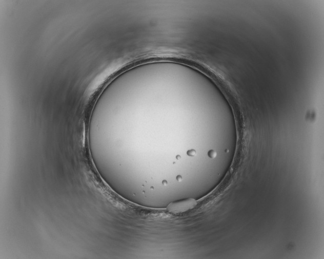 X0000111381317200907241300