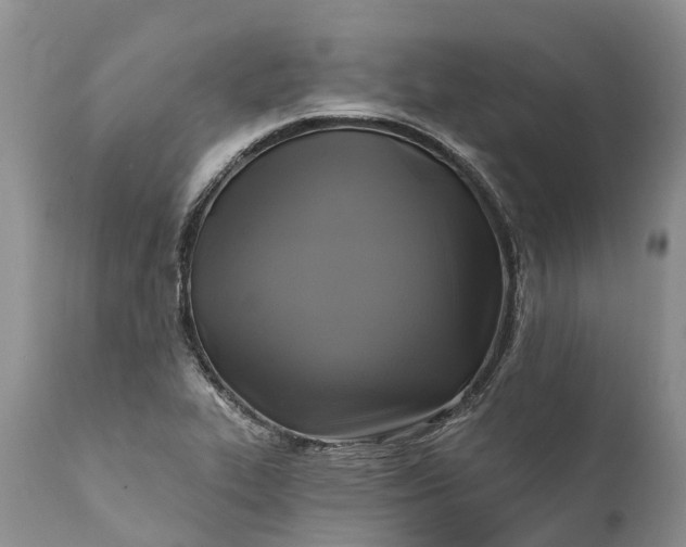 X0000111381319200907241300