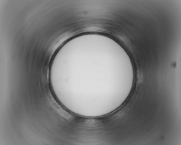 X0000111381322200907241301