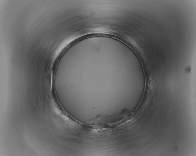 X0000111381323200907241301