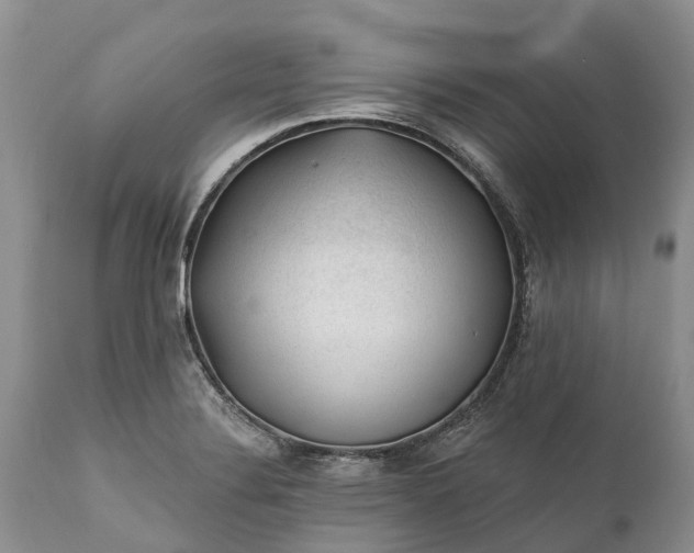 X0000111381324200907241301