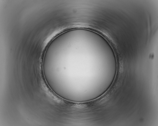 X0000111381325200907241301