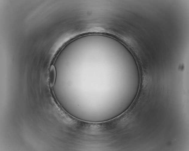 X0000111381326200907241301