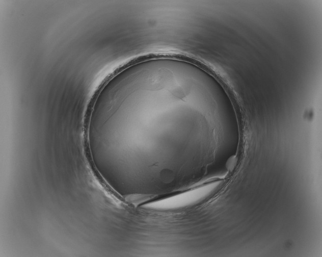 X0000111381327200907241301