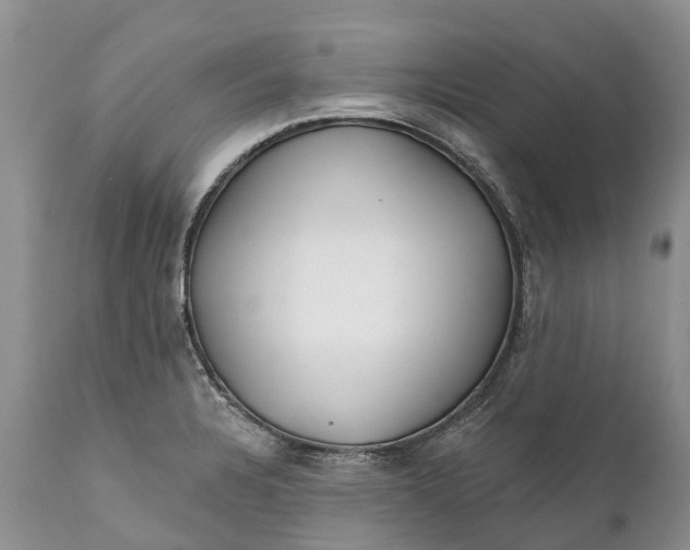 X0000111381328200907241301