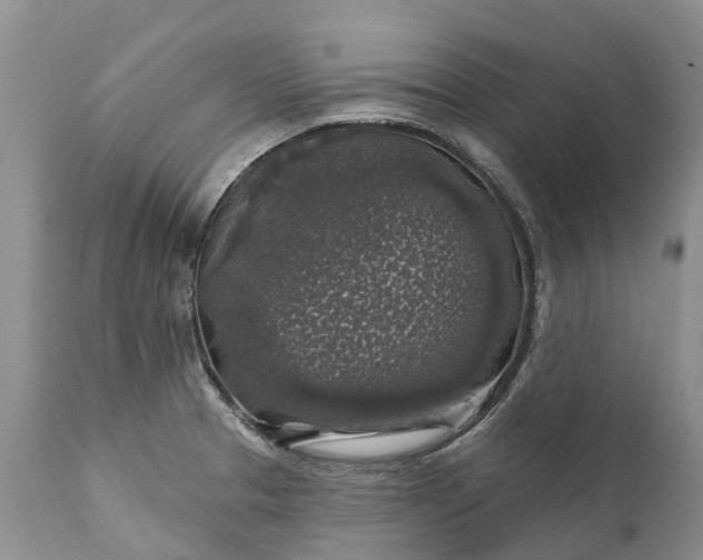 X0000111381329200907241301