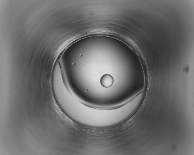 X0000111381330200907241301