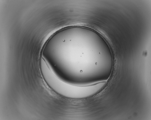 X0000111381332200907241301