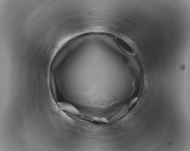 X0000111381334200907241301