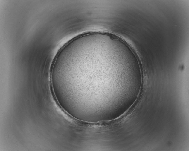 X0000111381335200907241301