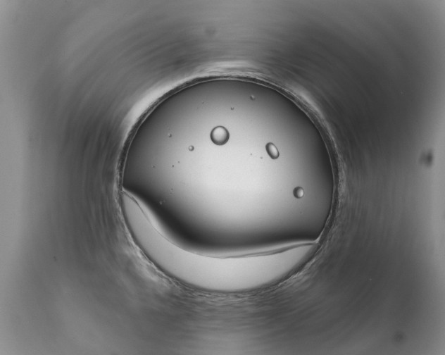 X0000111381336200907241301