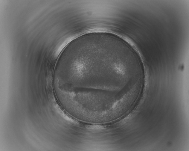 X0000111381337200907241301