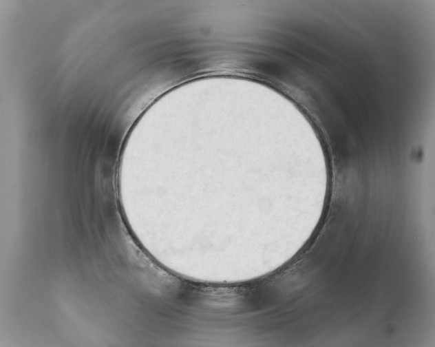 X0000111381338200907241301