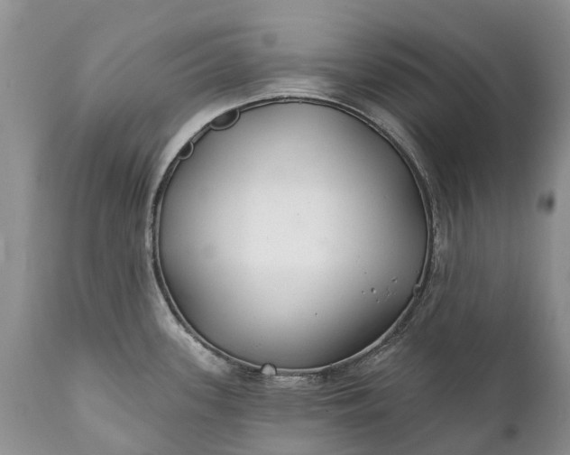 X0000111381339200907241301