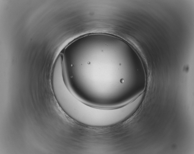 X0000111381340200907241301