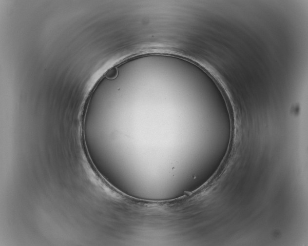 X0000111381341200907241301