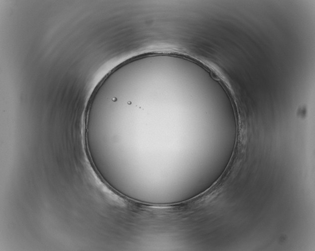 X0000111381343200907241301