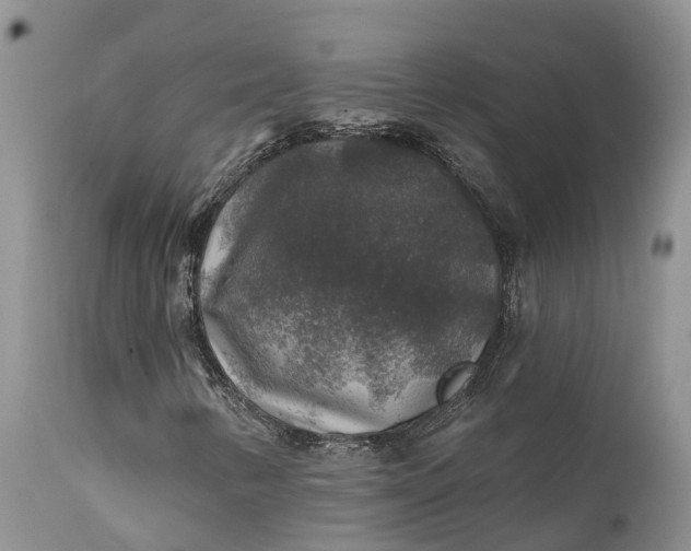 X0000111381346200907241300