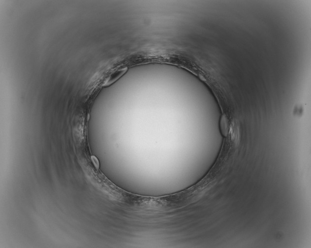 X0000111381348200907241300