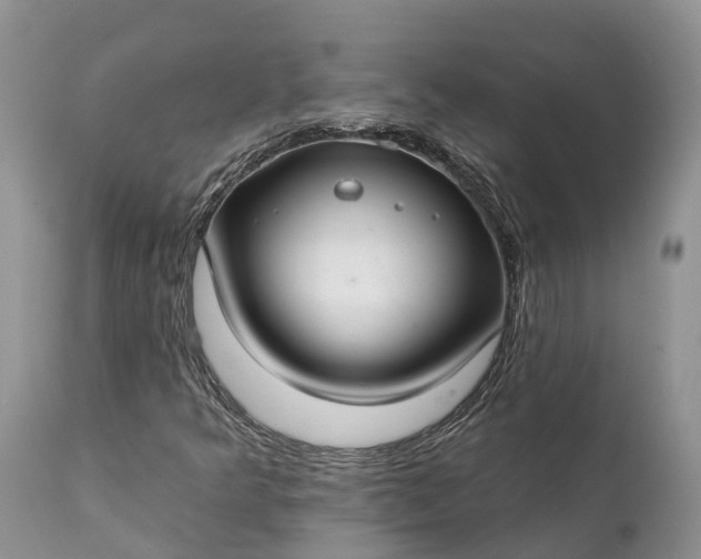 X0000111381349200907241300