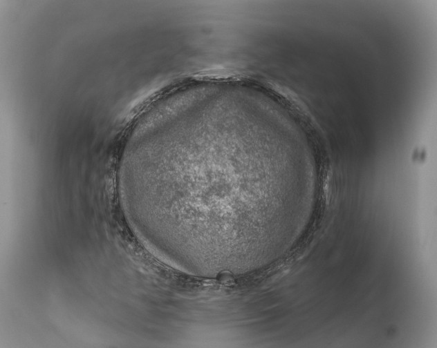 X0000111381350200907241300