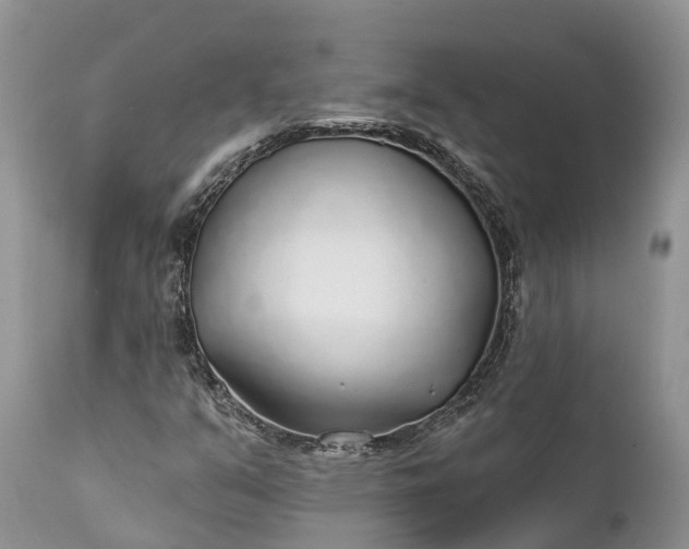 X0000111381351200907241300