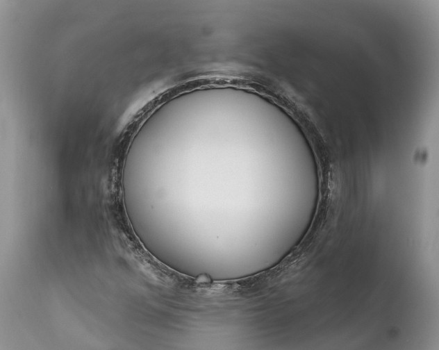 X0000111381352200907241300