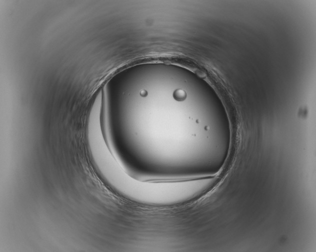 X0000111381353200907241300