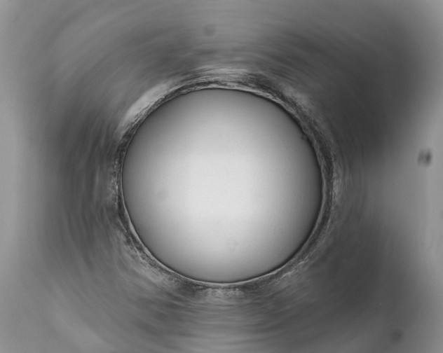 X0000111381354200907241300