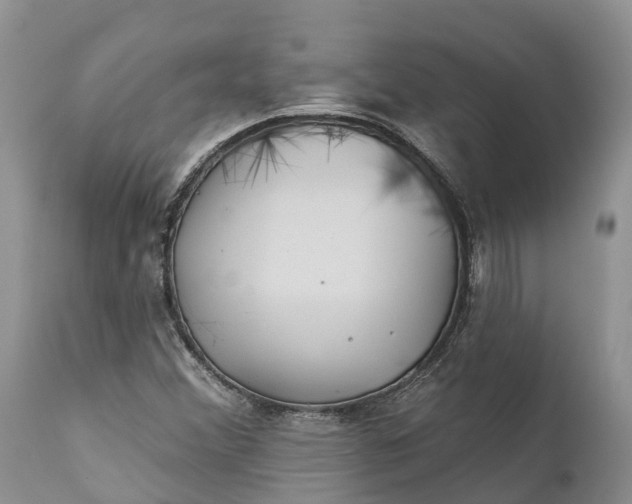 X0000111381356200907241300