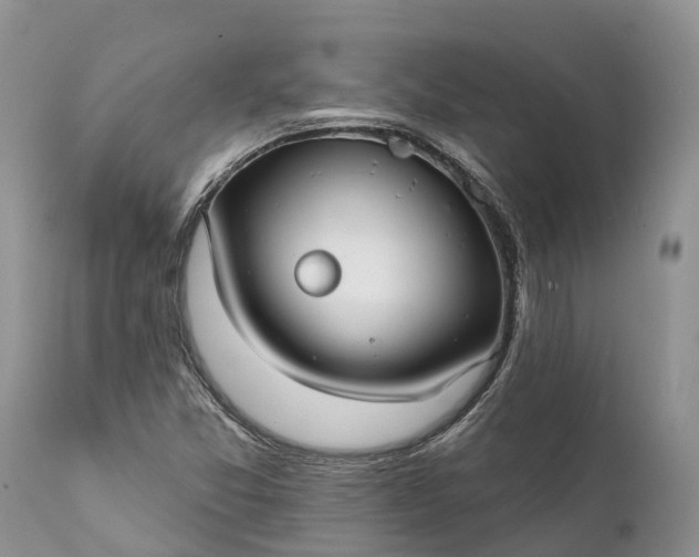 X0000111381357200907241300