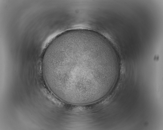 X0000111381358200907241300