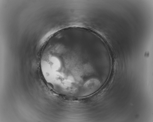 X0000111381359200907241300