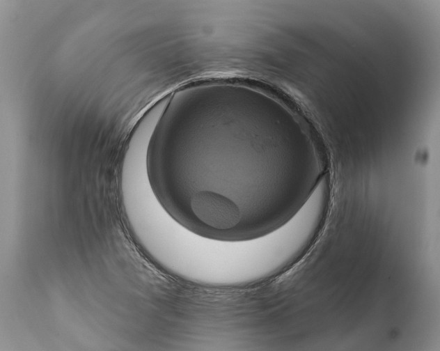 X0000111381361200907241300