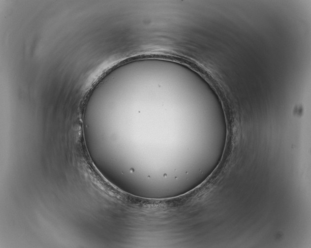 X0000111381363200907241300