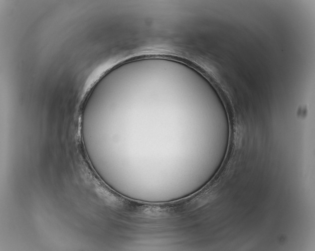 X0000111381366200907241300