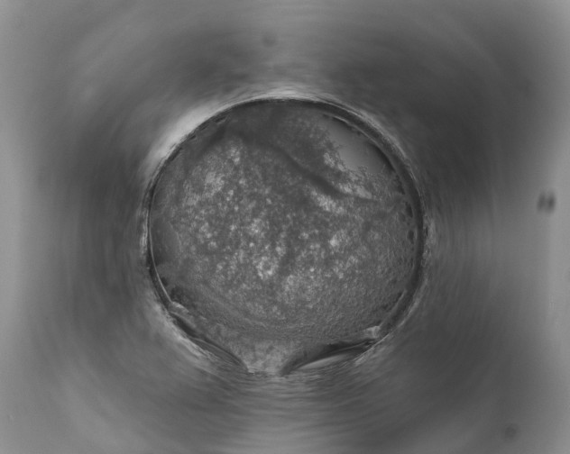 X0000111381367200907241300