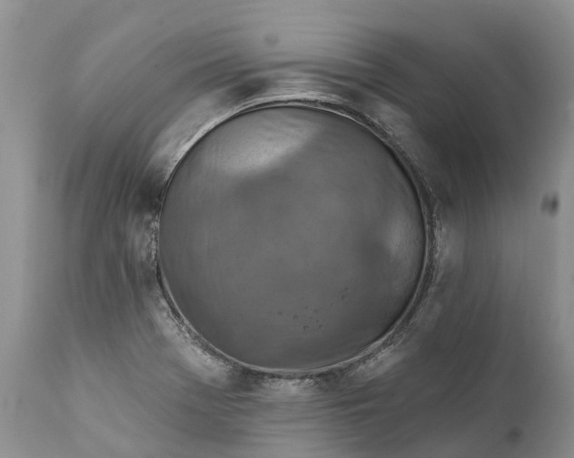 X0000111381369200907241300