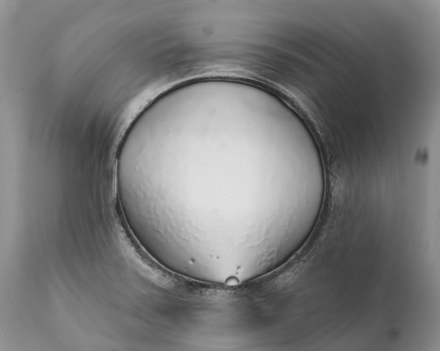 X0000111381371200907241300